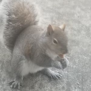 Meet your Posher, Steve